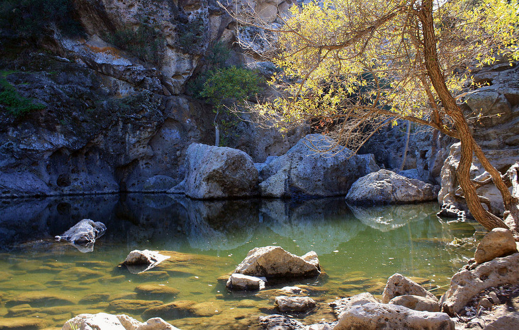 Malibu Creek Rock Pool, one site sampled in Harmon et al. (2018). (Flickr: Tony Hoffarth)
