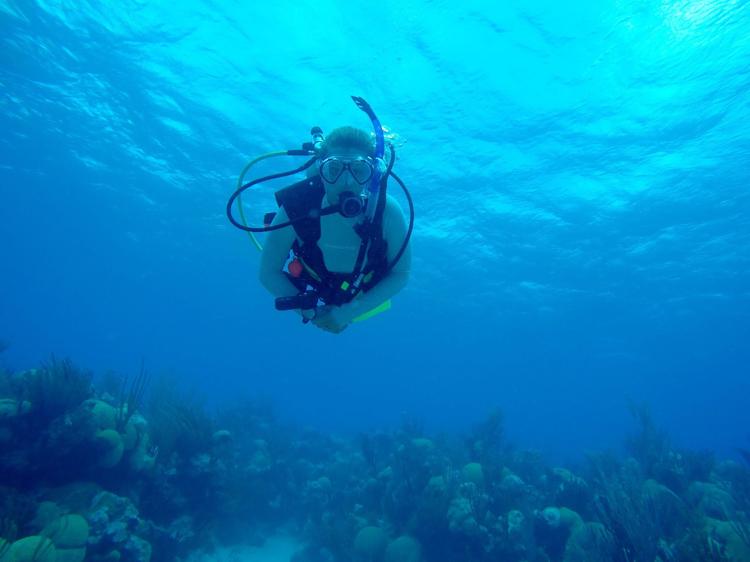 Danielle Becker, diving (AAUS website)