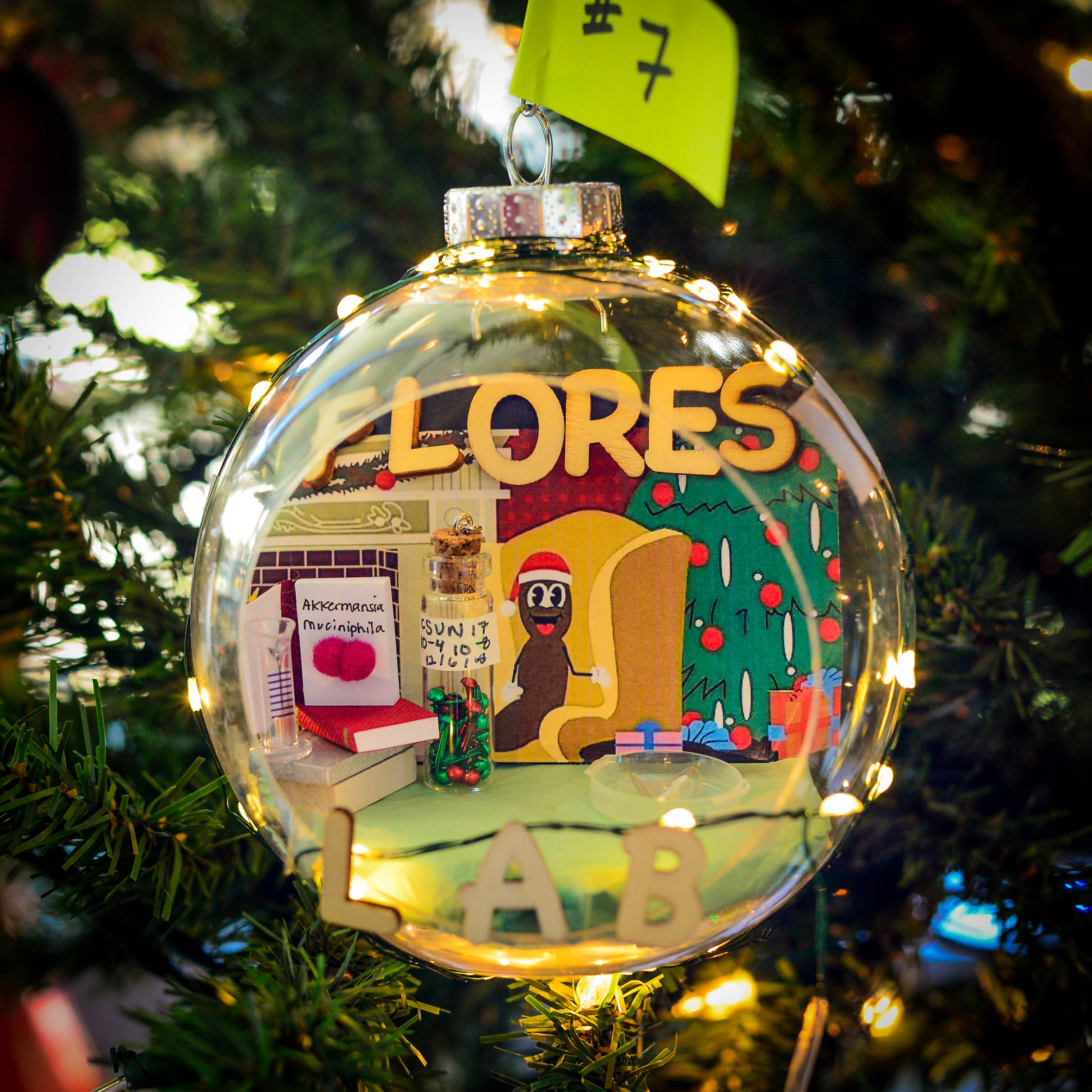 The First Place winner, from the Flores Lab (Photo by Tim Karels)