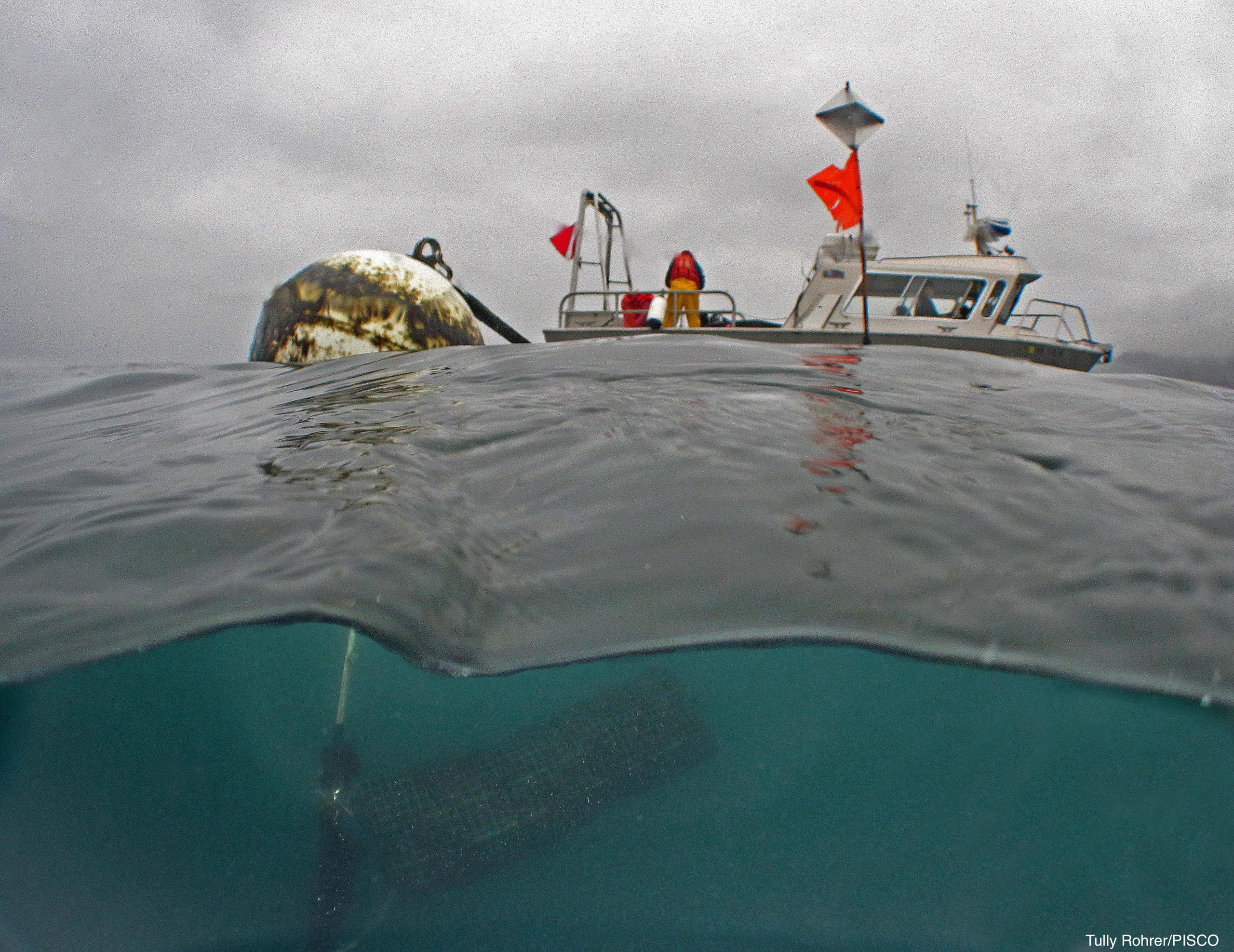 A boat and buoy, viewed from halfway below the surface of the water