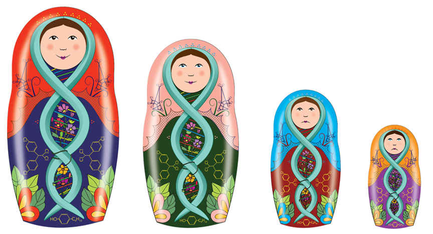 A series of nesting dolls with DNA helices painted on them