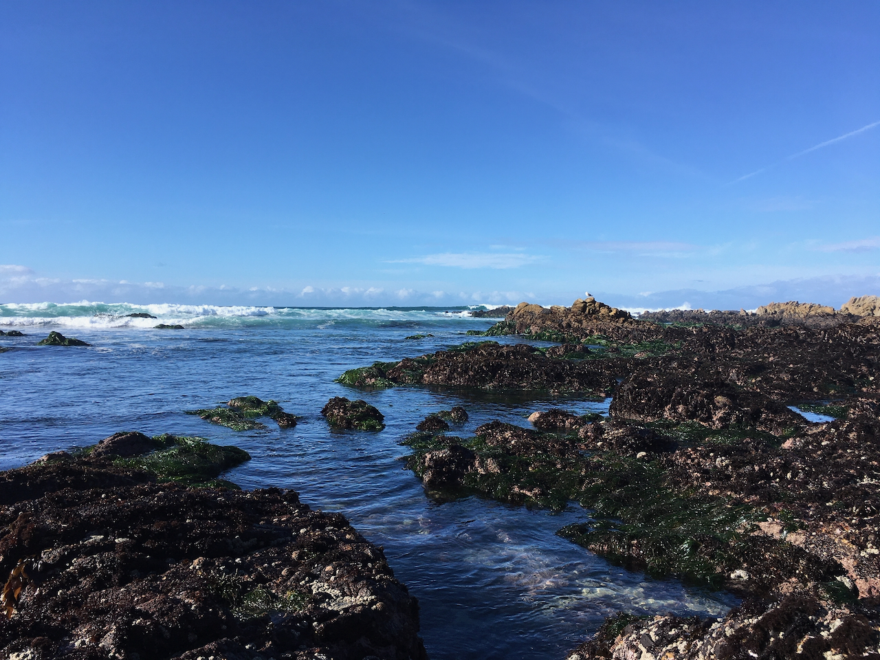 Waves beating against a rocky shoreline under a blue sky